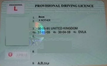 Provisional License Provisional License